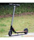 Ninebot by Segway kickscooter ES: ES1, ES2, ES4)