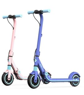 Ninebot eKickScooter Zing E8