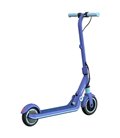 Ninebot eKickScooter Zing E8