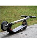 Ninebot by Segway kickscooter ES: ES1, ES2, ES4)