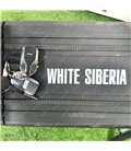 White Siberia MINI R 2.0 1200W