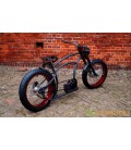 Электровелосипед 250 Watt Cruiser E-Bike