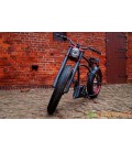 Электровелосипед 250 Watt Cruiser E-Bike