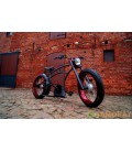 Электровелосипед 250 Watt Cruiser E-Bike