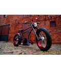 Электровелосипед 250 Watt Cruiser E-Bike