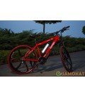 Электровелосипед FERRARI ELECTROBIKE RD (красный)