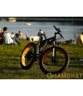 Электровелосипед LKS Fatbike Electro Rear Drive