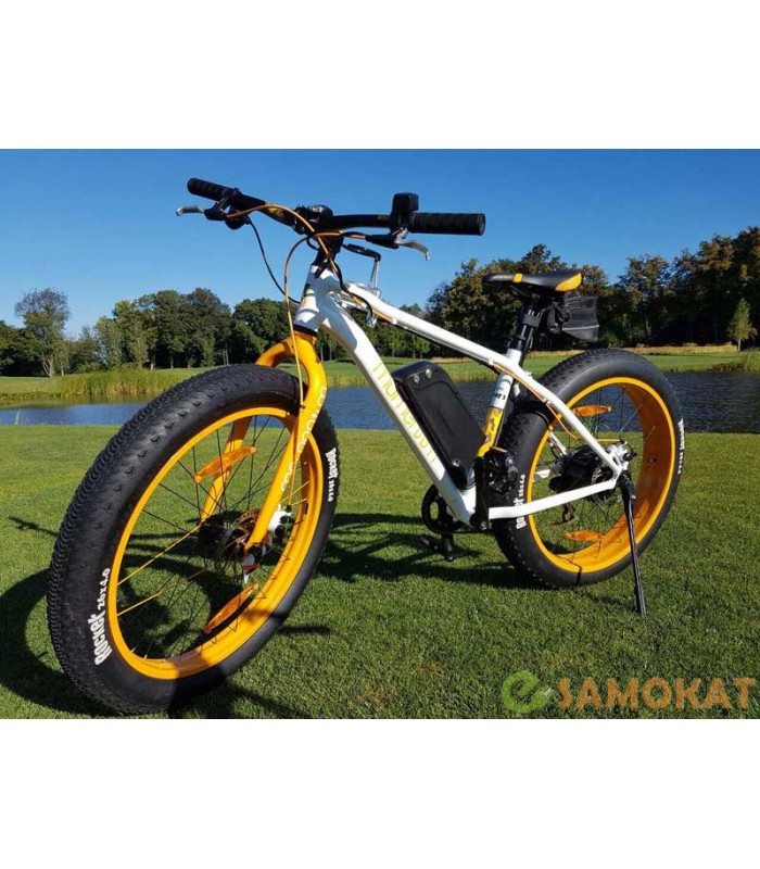 GIANT Momentum Fat Bike