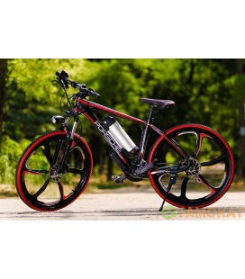 Электровелосипед PORSCHE ELECTROBIKE RD (черно-красный)